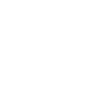 Development Project